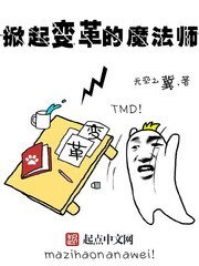 掀起纯革的魔法师