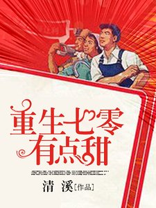 重生之七零年代小军嫂