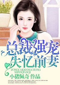 總裁強寵失憶前妻