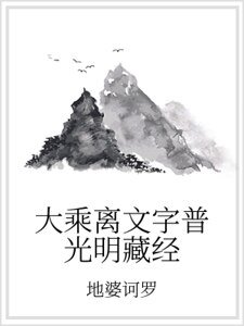 大乘离文字普光明藏经