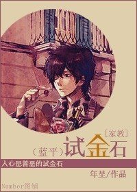 (家教同人)试金石