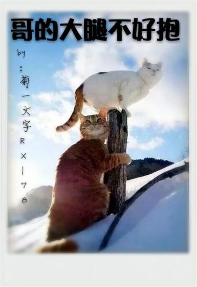 《哥的大腿不好抱》