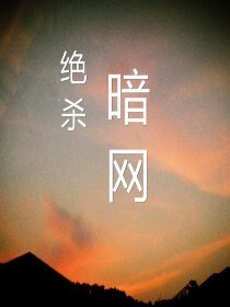 绝杀暗网