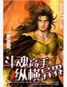 鬥魂高手縱橫異界
