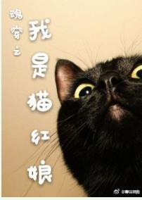 我是猫红娘