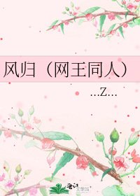 风归(网王同人)