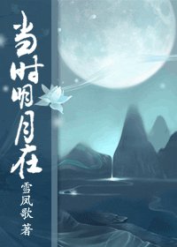 《当时明月在》