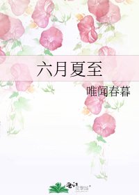 六月夏至