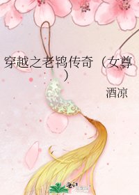 穿越之老鴇傳奇(女尊)