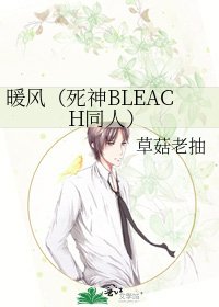 暖風（死神BLEACH同人）