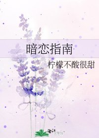 暗戀指南