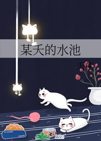 某夭的水池