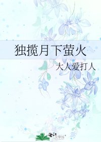 独揽月下萤火
