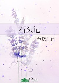 石头记