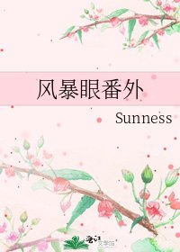 风暴眼番外