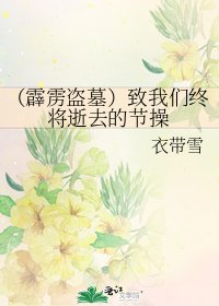 (霹雳盗墓)致我们终将逝去的节操