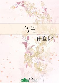 《乌龟》