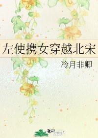 左使携女穿越北宋