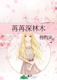苒苒深林木