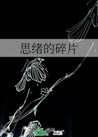 思绪的碎片