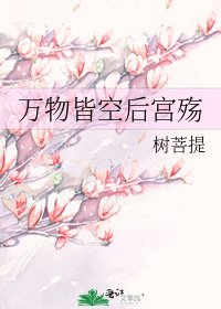 万物皆空后宫殇