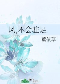 風,不會駐足