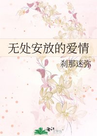 无处安放的爱情