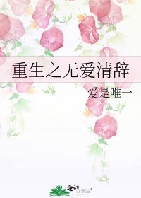 重生之无爱清辞