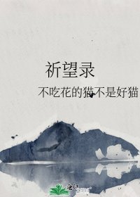 祈望錄
